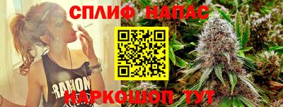 стафф Дубна