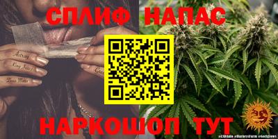 стафф Дубна