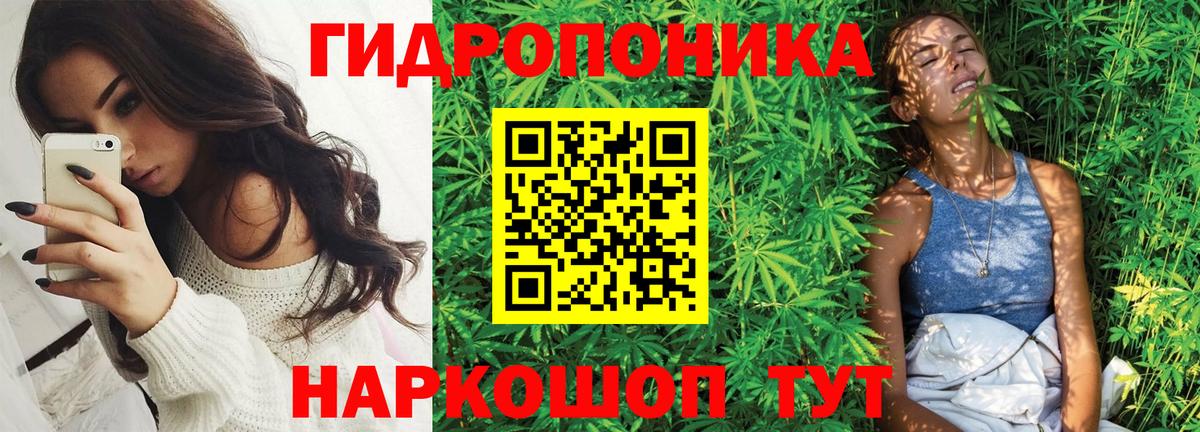 Марихуана MAZAR  Марихуана LSD WEED  Магадан  Бошки марихуана OG Kush  Вход с VPN 